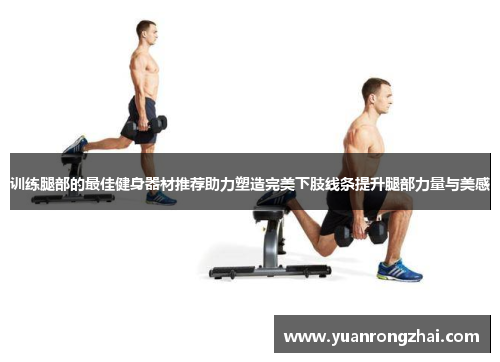 训练腿部的最佳健身器材推荐助力塑造完美下肢线条提升腿部力量与美感