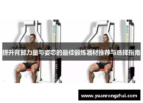 提升背部力量与姿态的最佳锻炼器材推荐与选择指南